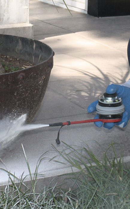 cv-control-plagas-master-control-plagas-tlaquepaque-jalisco-mexico-servicios-tecnicas-fumigacion-espolvoreo