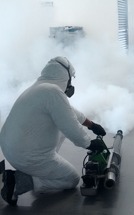 cv-control-plagas-master-control-plagas-tlaquepaque-jalisco-mexico-servicios-tecnicas-fumigacion-termonebulizacion